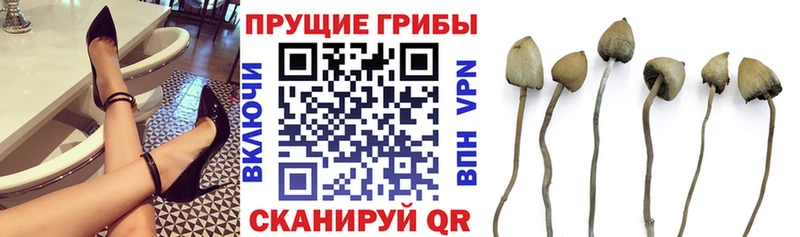 Галлюциногенные грибы мухоморы  Кубинка 